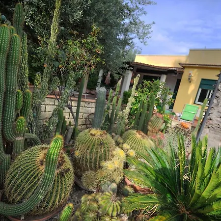 Donna Caterina House, * Pietraperzia