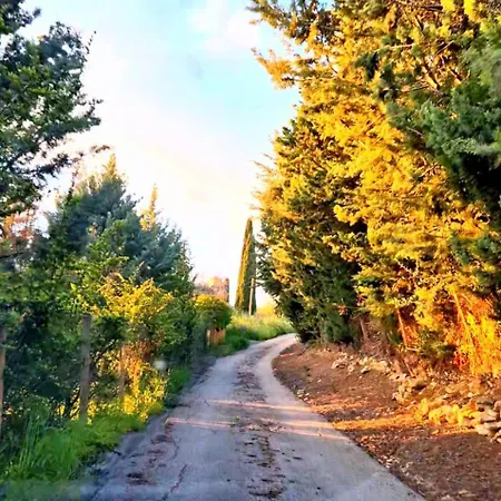 Donna Caterina House, Pietraperzia